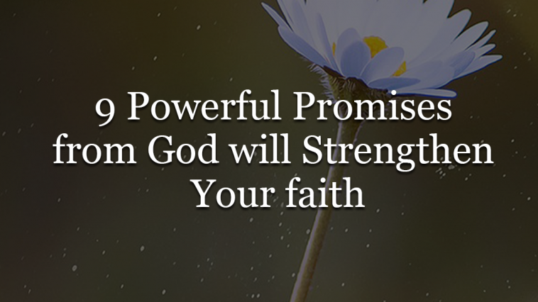 7 powerful promises of god