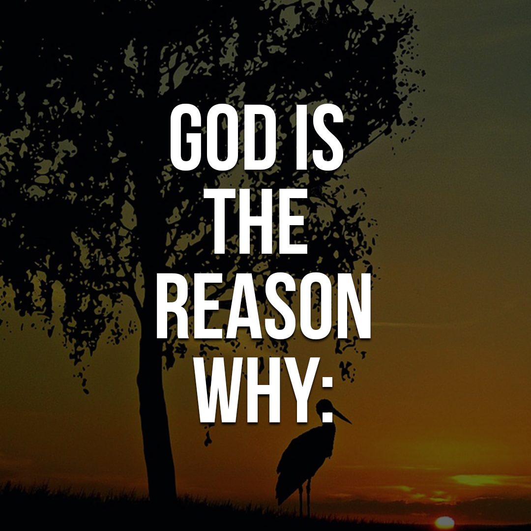 God is the reason why