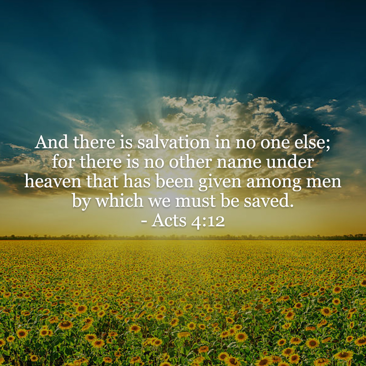 Acts 4 12