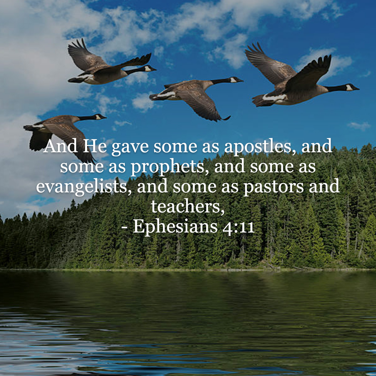 Ephesians 4 11