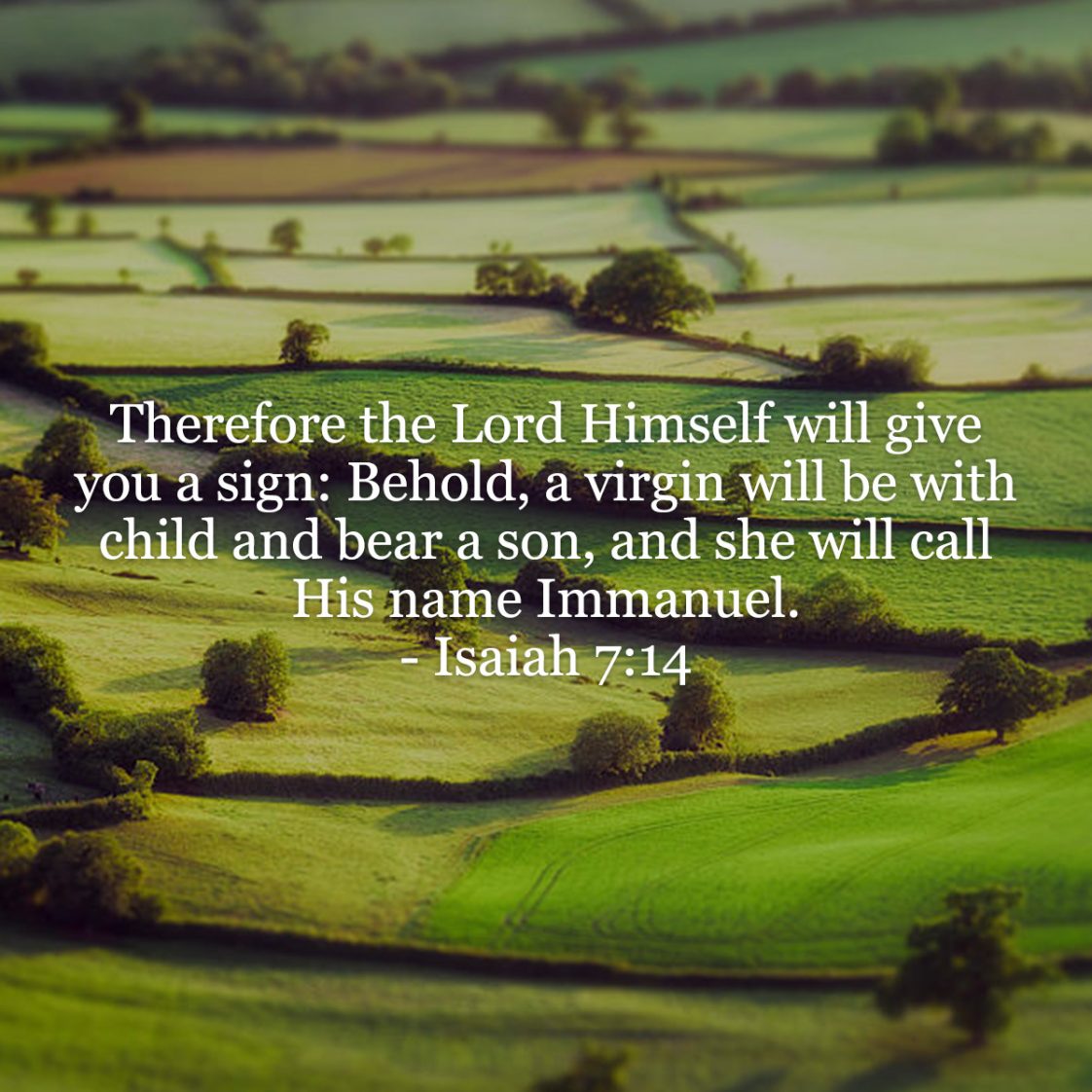 isaiah 7 14