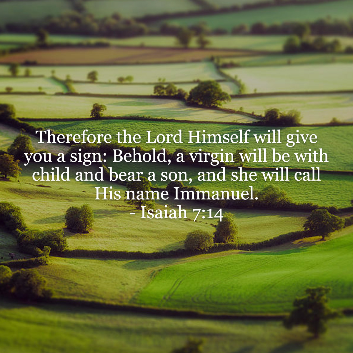 Isaiah 7 14