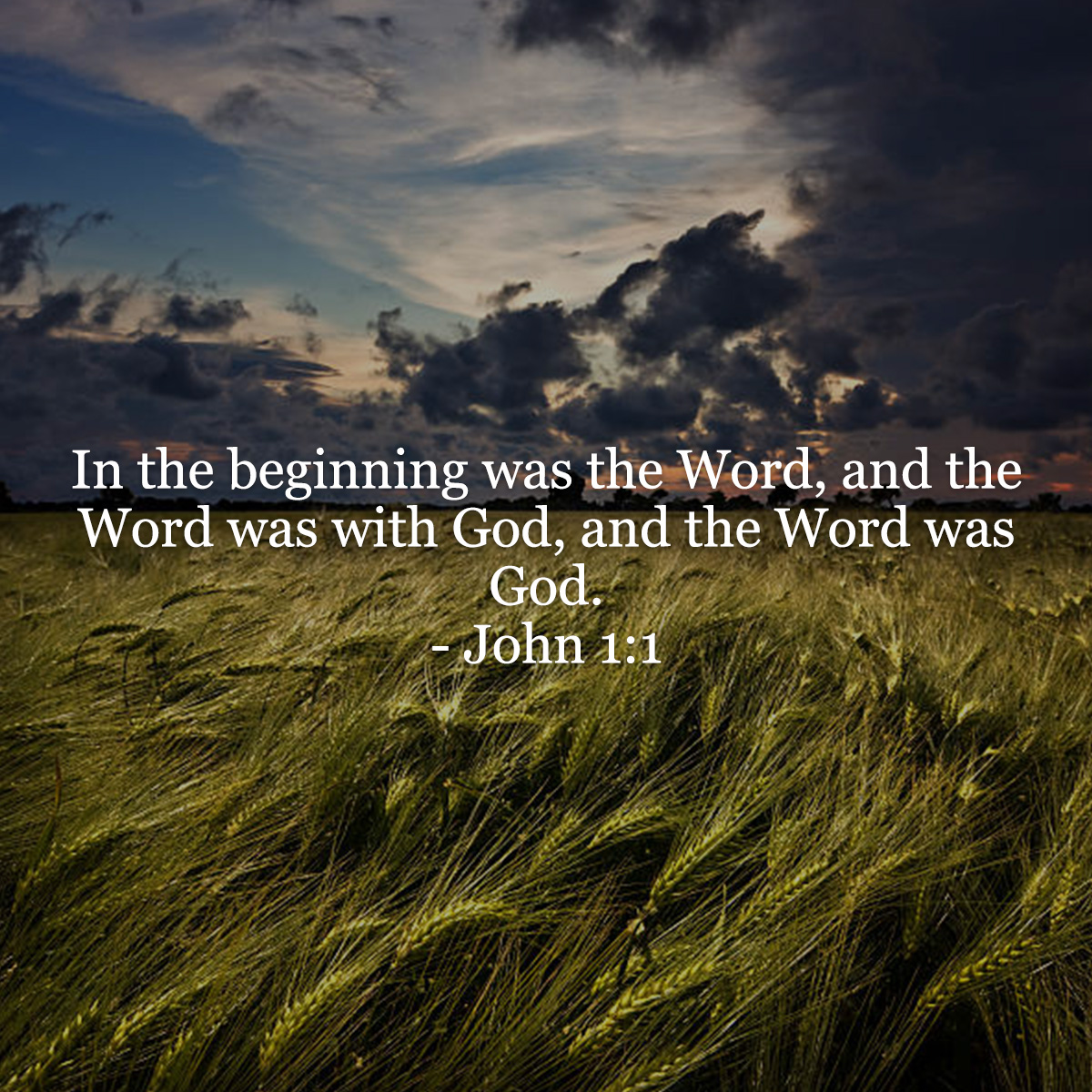 John 1 1