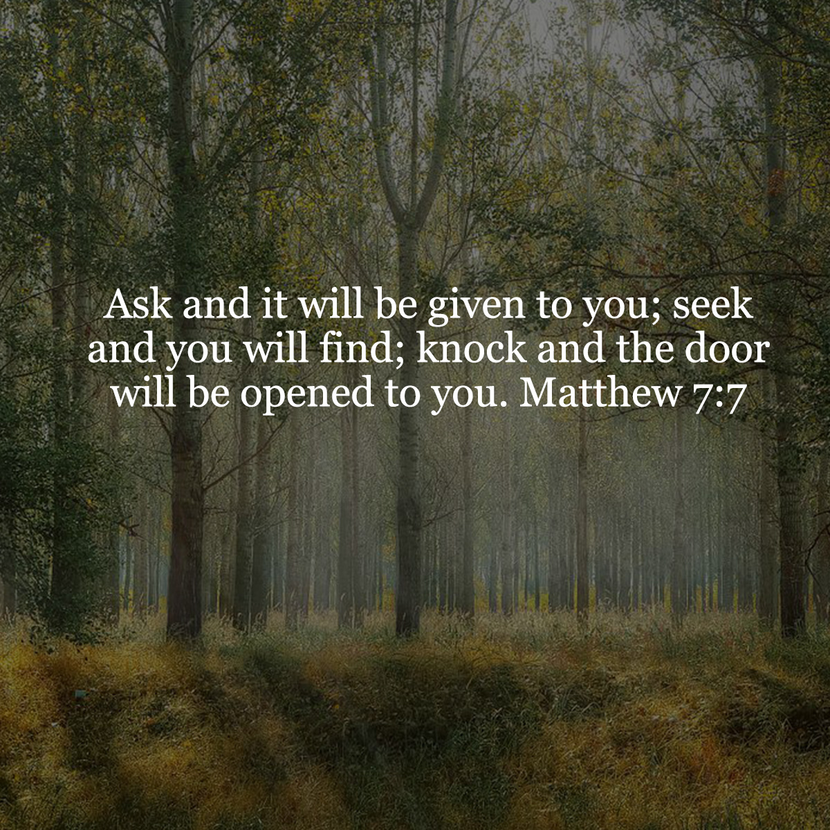 Matthew 7_7