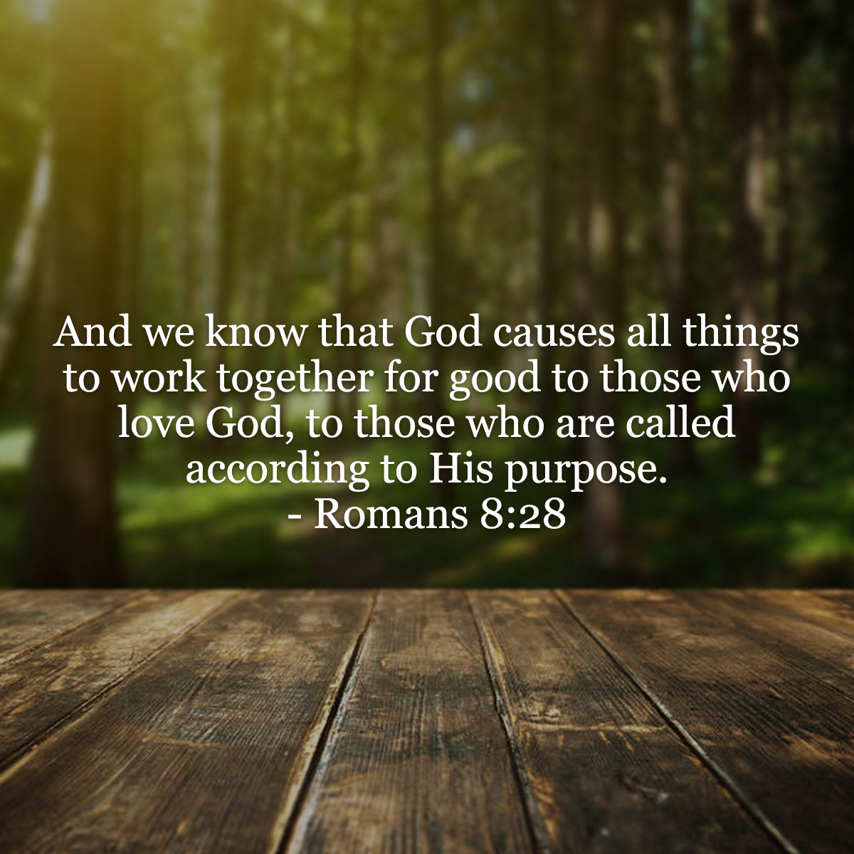 Romans 8 28