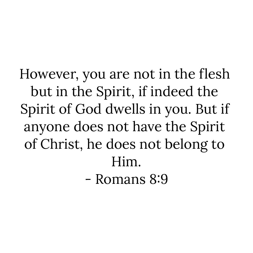 romans 8 9 explained