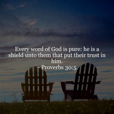 Proverbs 30v5