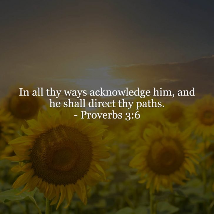 Proverbs 3v6