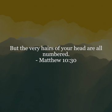 Matthew 10v30