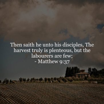 Matthew 9v37