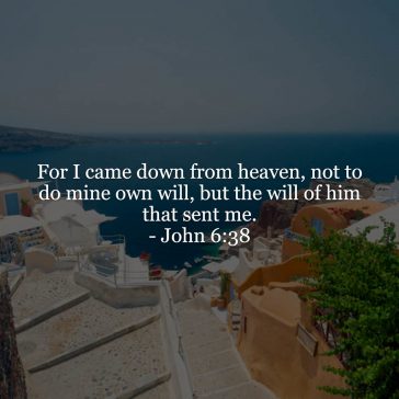 John 6v38