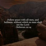 Hebrews 12v14
